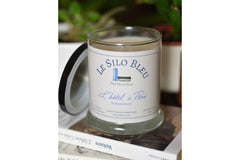 a large sandalwood scented candle on a stack of french books with a black lid resting on the side of the candle. Potted plants in background