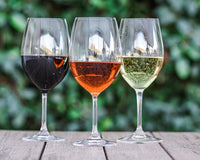 Vintage Wine Estates Swanson Vineyards Reserve 18 Can Set  *Shipping Included*