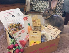 Happy Bunny Club Box