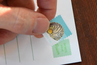 Planet Post Packet
