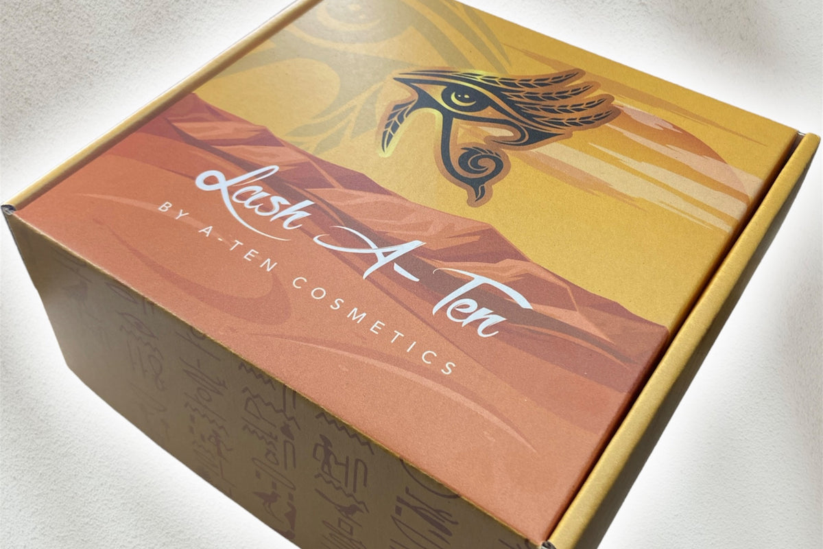 LASH A-TEN DELUXE ROYALTY BOX