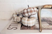 Fall Abode Box