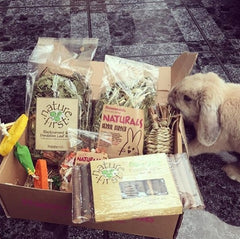 Happy Bunny Club Box