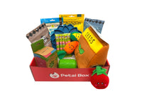 Monthly Classic Regular Dog Box