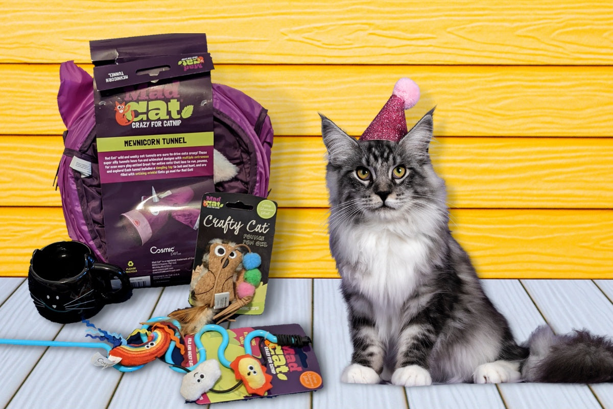 Peculiar Pet Holiday Box - Cat
