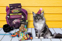 Peculiar Pet Holiday Box - Cat