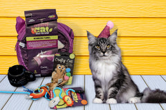 Peculiar Pet Holiday Box - Cat
