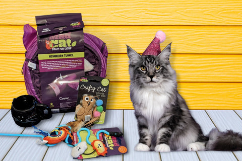 Peculiar Pet Holiday Box - Cat