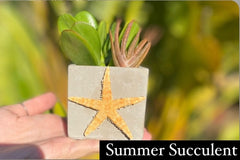 DIY Seasonal Succulent Kits