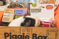 Piggie Box