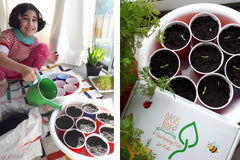Oasis Box the Gardening subscription club for kids. This is one of Oasis Box happy members, hard at work. 