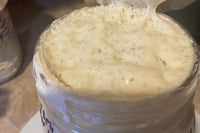 Sourdough Starter 5G