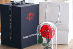 Mother's Day Gift