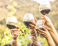 Vintage Wine Estates Perfect Pairings 6 Bottle Wine Collection *Shipping Included*