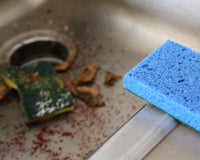 Sponge Club Monthly Subscription