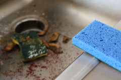 Sponge Club Monthly Subscription