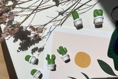 Israeli goodies inside every seasonal box. Open each box to discover Israel differently. Connect and love everything inside the Hasod Boxes.