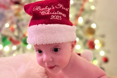 Monthly Baby Photo Props