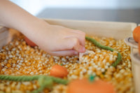 Mama May I Sensory Bin of the Month Club