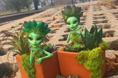Garden Girls