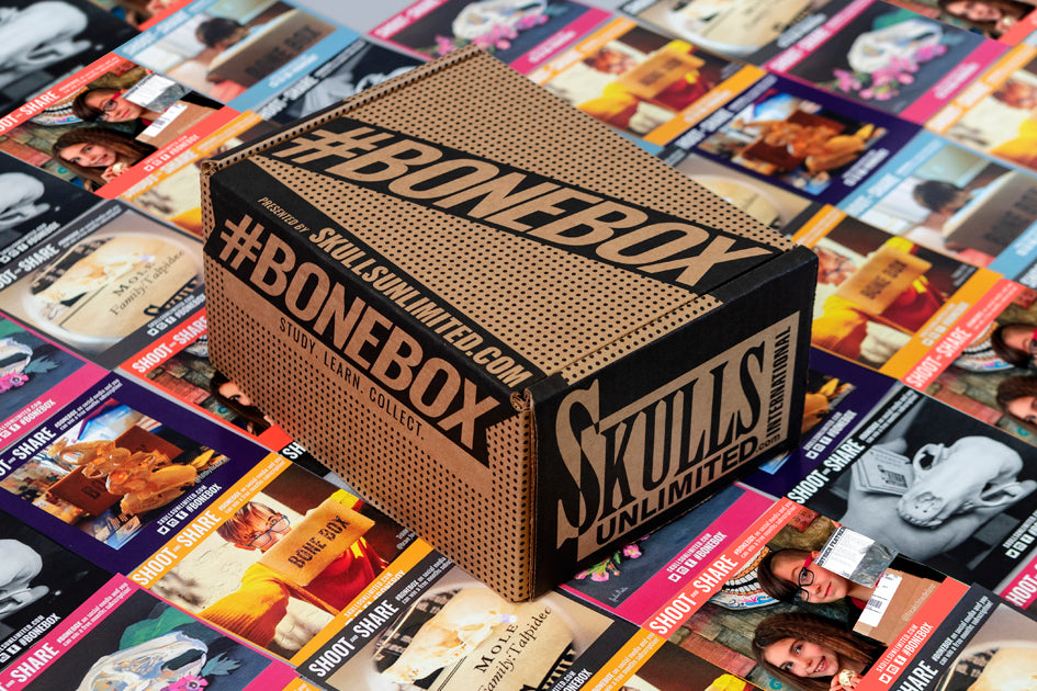 A closed Skulls Unlimited's Bone Box subscription box.