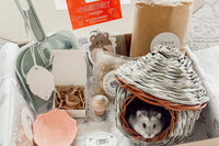Hamster & Me Box