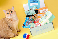 Monthly Gus & Bella Box