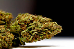 CBD Flower Club Monthly