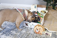 Frenchie Box