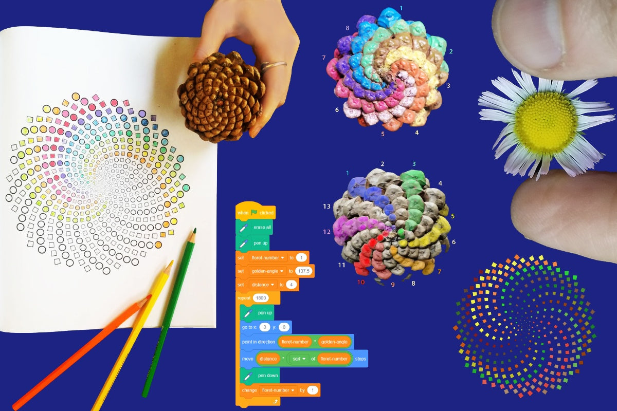 The spiraling of flowers and plants reveals the beauty of the golden ratio, the deep math of nature. Represent this with code, math and art.