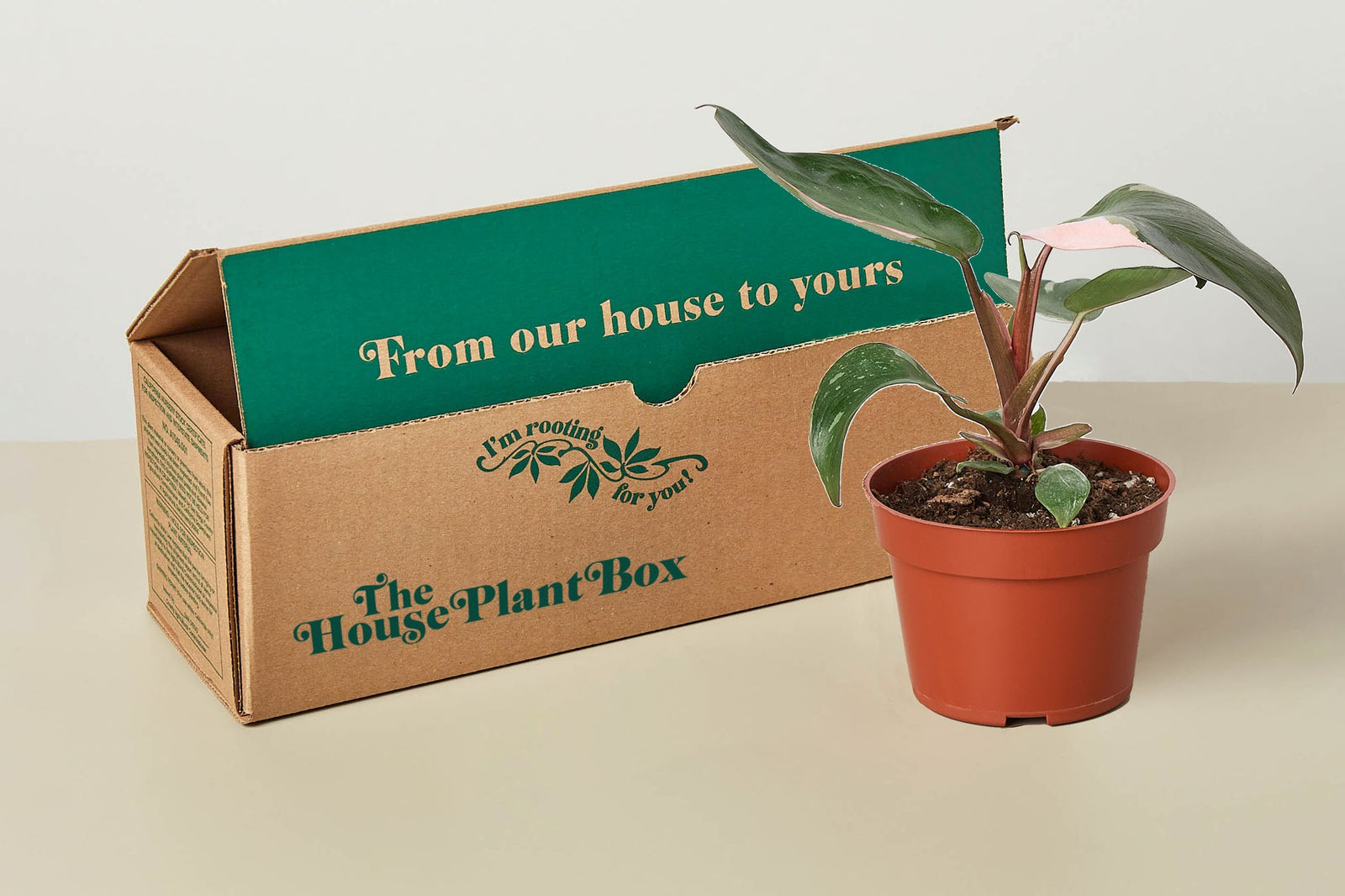 cratejoy house plant box Rare House Plant Box