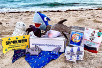 Pooch Perks Dog Box