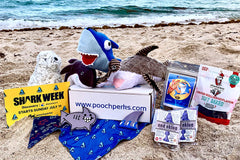 Pooch Perks Dog Box