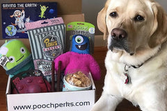 Pooch Perks Dog Box