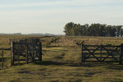Campo Box