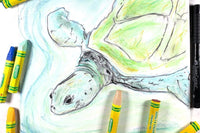 This is a past project example. Past projects can be found at classyartistbox.com and are called "ProjPacks."