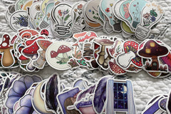 Monthly subscription package with ten die cut stickers great for water bottles.laptops, skateboards and scrapbooking.