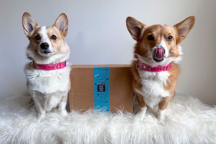 Dog Mom Box