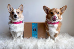 Dog Mom Box