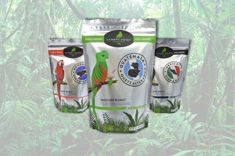 Sustainable Coffee Membership