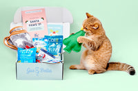 Monthly Gus & Bella Box