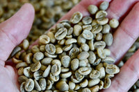 Unroasted Coffee Bean Monthly Subscription (14 oz)