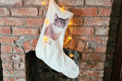 Perfect Pawtrait Cat Club