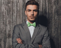 ZZ RT 1223 Nutty Neckware Tie Box