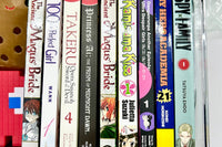 Monthly Mature Manga (18+ only) Box (5 Books per month)