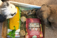 Hop Box