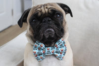 SealedWithPugKisses Specialty Dog Boxes