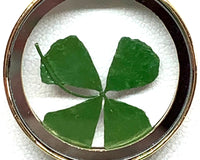 Fabulous Box - Special Offer