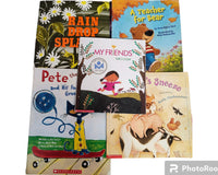 Children's Used Picture Book Box
