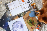 Trinket Treasurez Monthly Magickal Self Care Package Subscription